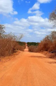 Fazenda/Sítio à venda, 500m² no Curral, Ibiúna