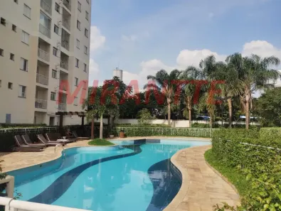 Apartamento com 3 Quartos à venda, 63m² no Vila Guilherme, São Paulo