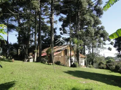 Fazenda/Sítio com 3 Quartos à venda, 200m² no Roça Grande, Colombo