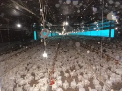 Fazenda/Sítio com 3 Quartos à venda, 179000m² no Área Rural de Bragança Paulista, Bragança Paulista