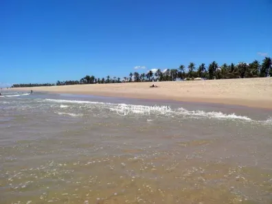 Lote/Terreno à venda, 6000m² no , Mata de São João