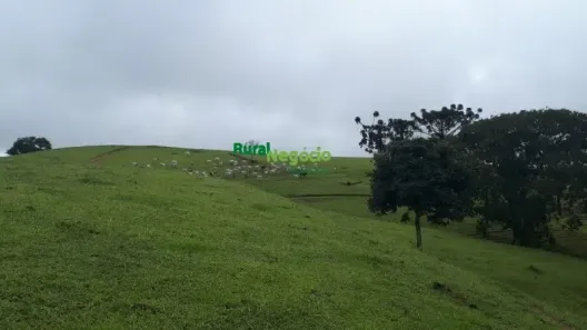 Fazenda/Sítio à venda, 840700m² no Centro, Guaratinguetá