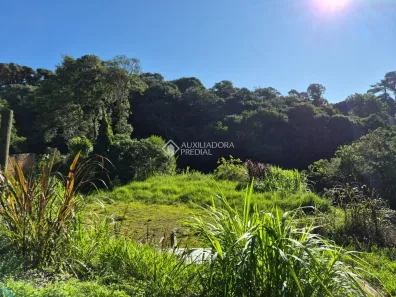 Lote/Terreno à venda, 633m² no São João, Curitiba