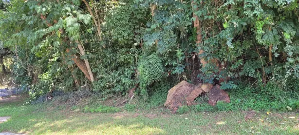 Lote/Terreno à venda, 1110m² no Caraguatá, Mairiporã
