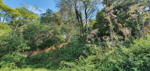 Lote/Terreno à venda, 4326m² no Lagoa da Conceição, Florianópolis