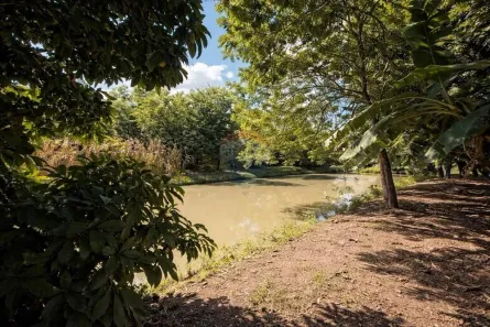 Fazenda/Sítio com 4 Quartos à venda, 840m² no Recreio Pedregal, Sertãozinho