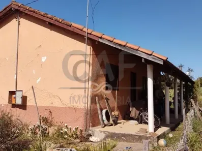 Fazenda/Sítio com 4 Quartos à venda, 70m² no Área Rural de Jaguariúna, Jaguariúna