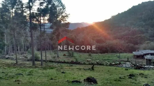 Lote/Terreno com 1 Quarto à venda, 200m² no , Canela