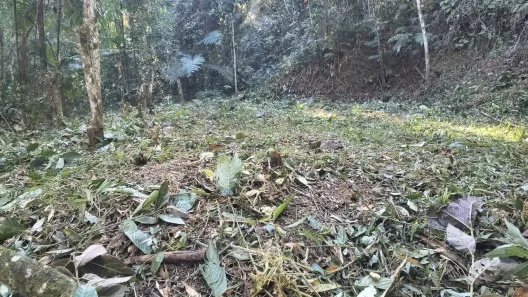 Lote/Terreno à venda, 5960m² no Vargem Grande, Teresópolis