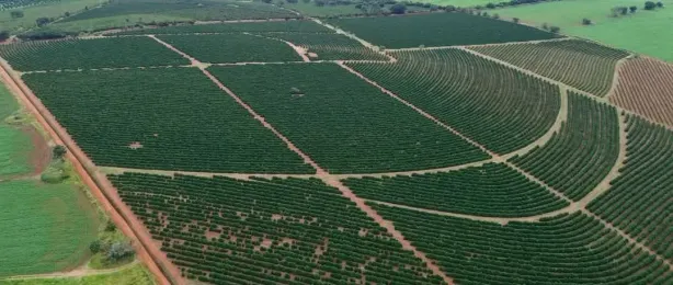Fazenda/Sítio com 6 Quartos à venda, 798600m² no , São Sebastião do Paraíso