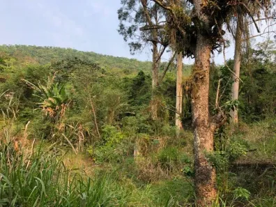 Fazenda/Sítio com 9 Quartos à venda, 35000m² no Flamengo, Maricá