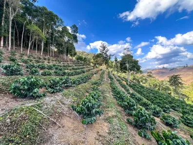Lote/Terreno à venda, 30000m² no Centro, Marechal Floriano