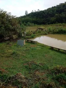 Fazenda/Sítio com 3 Quartos à venda, 110m² no Borba, Pindamonhangaba
