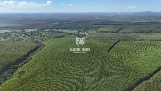 Fazenda/Sítio à venda, 999999999m² no , Corinto