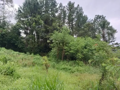 Lote/Terreno à venda, 353m² no Kaffee Eck, Picada Café