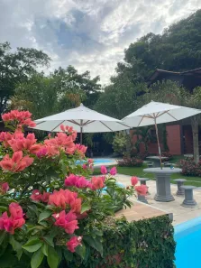 Fazenda/Sítio com 10 Quartos à venda, 15000m² no , Chã Grande