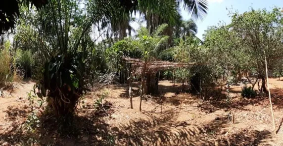 Fazenda/Sítio com 1 Quarto à venda, 900m² no Conjunto Estrela do Sul, Aparecida de Goiânia