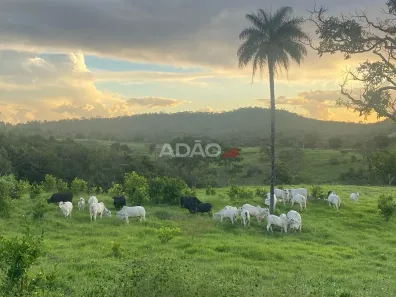 Fazenda/Sítio à venda, 630m² no , Bela Vista de Goiás