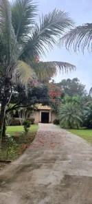 Fazenda/Sítio com 3 Quartos à venda, 400m² no Parque das Nascentes (Zona Rural), São José do Rio Preto