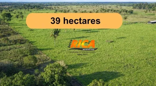 Fazenda/Sítio com 4 Quartos à venda, 390000m² no Ronaldo Aragão, Porto Velho