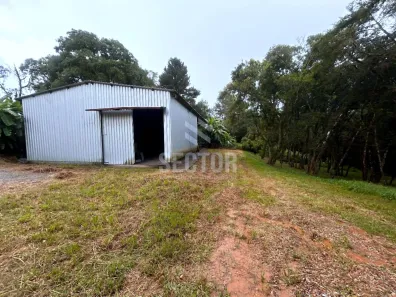 Fazenda/Sítio à venda, 288m² no Cachoeira, São José dos Pinhais