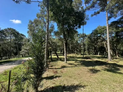 Lote/Terreno à venda, 6500m² no , Campo Alegre
