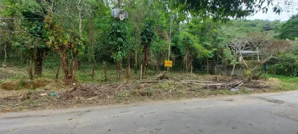 Lote/Terreno à venda, 9732m² no Guaratiba, Rio de Janeiro