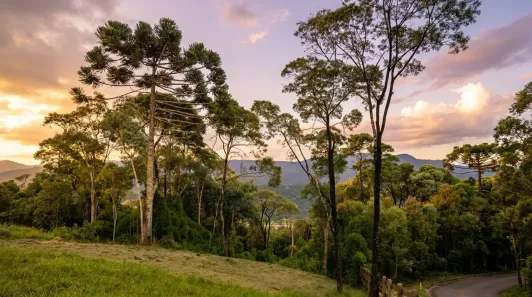 Fazenda/Sítio à venda, 20000m² no Águas Brancas, Urubici