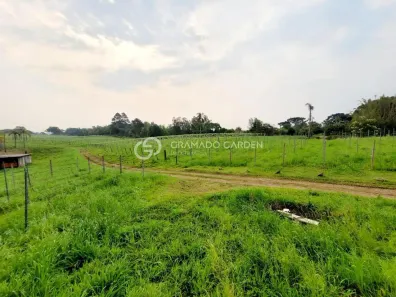 Fazenda/Sítio com 1 Quarto à venda, 5000m² no Bairro Nova Renânia, Santa Maria do Herval