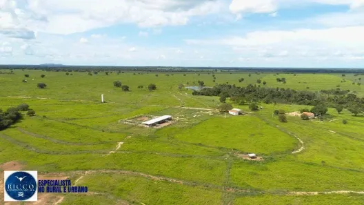 Fazenda/Sítio com 2 Quartos à venda, 100m² no Setor Central, Figueirópolis