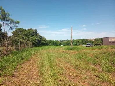 Fazenda/Sítio à venda, 4000m² no Chácara Jockey Club (Zona Rural), São José do Rio Preto