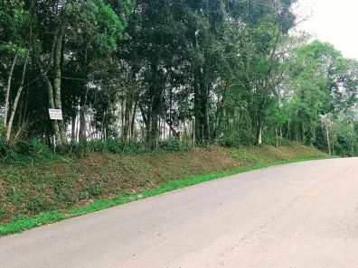 Lote/Terreno à venda, 11553m² no Santana, Cotia