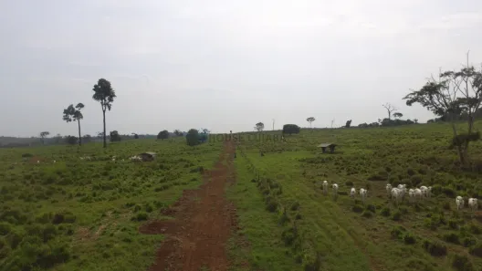 com 3 Quartos à venda, 280m² no , Apiacás