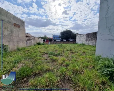 Lote/Terreno para alugar, 443m² no Vila Mariana, Ribeirão Preto