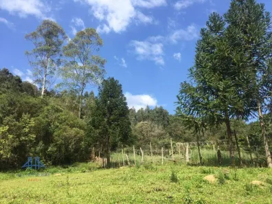 Lote/Terreno à venda, 152000m² no Centro, Anitápolis