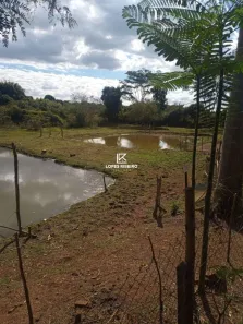 Fazenda/Sítio com 4 Quartos à venda, 200m² no São Paulo, Conchal