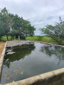 Fazenda/Sítio com 4 Quartos à venda, 3000000m² no , Bom Jesus