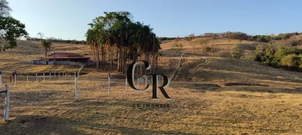 Fazenda/Sítio à venda, 39m² no , Mairipotaba