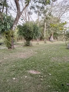 Fazenda/Sítio com 4 Quartos à venda, 120m² no Chácaras Planalto, Monte Mor