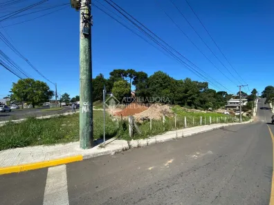 Lote/Terreno à venda, 4980m² no Centro, Canela