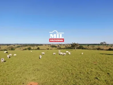 Fazenda/Sítio à venda, 500m² no Setor Bueno, Goiânia