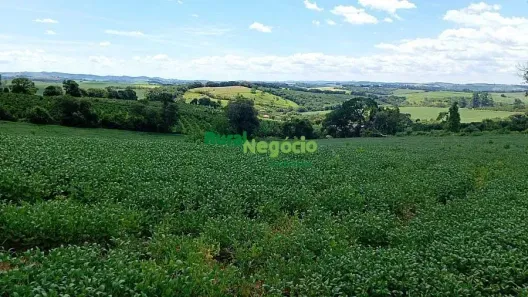 Fazenda/Sítio à venda, 265400m² no Centro, Três Corações