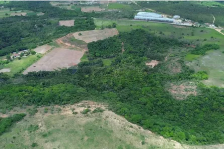 Fazenda/Sítio à venda, 743000m² no , Conde