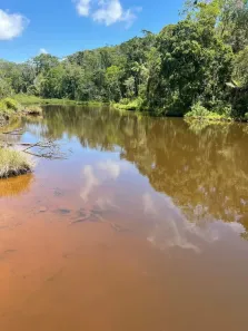 Fazenda/Sítio com 4 Quartos à venda, 1200m² no , Sumidouro