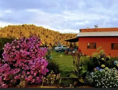 Fazenda/Sítio com 3 Quartos à venda, 200m² no Domingos Martins, Domingos Martins