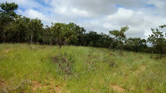 Lote/Terreno à venda, 1000m² no Lagoa Mansões, Lagoa Santa