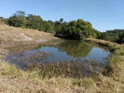 Fazenda/Sítio com 3 Quartos à venda, 2000m² no Santa Izabel, Arealva