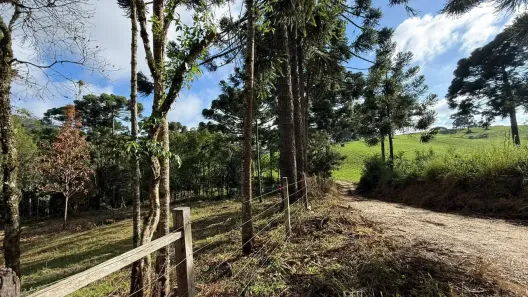 Fazenda/Sítio à venda, 7000m² no Bateias, Campo Largo