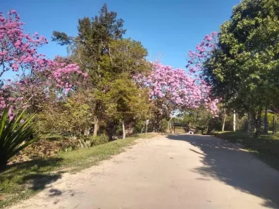 Fazenda/Sítio com 2 Quartos à venda, 20000m² no Borba, Pindamonhangaba