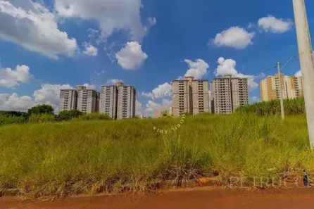 Lote/Terreno à venda, 382m² no Jardim dos Calegaris, Paulínia